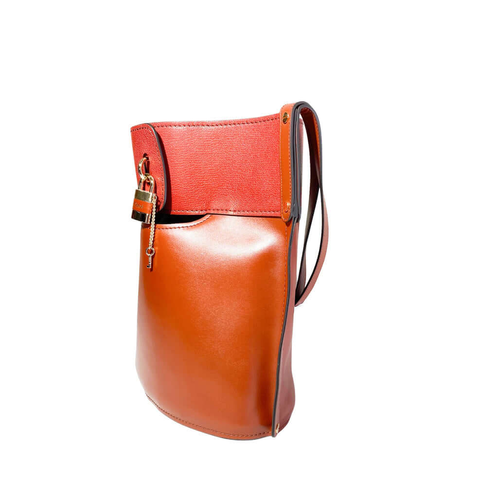 Chloe-tote-bag-bucket-bag-Glamorizta